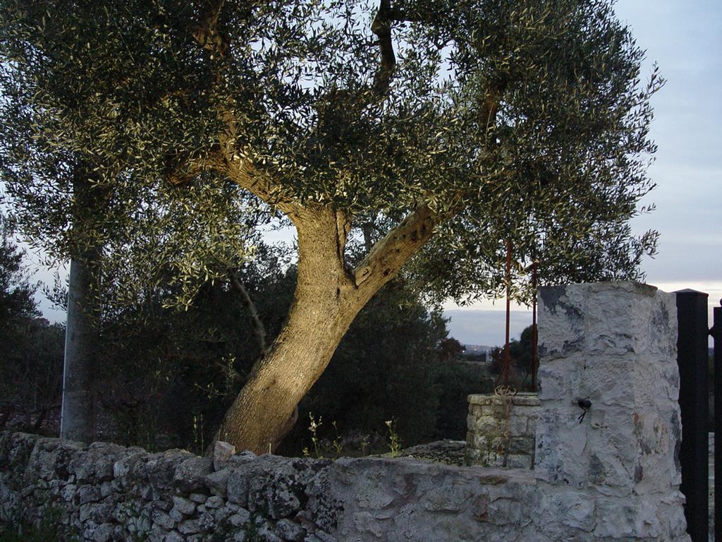 Trullo Sereno Angelo Locorotondo Luaran gambar